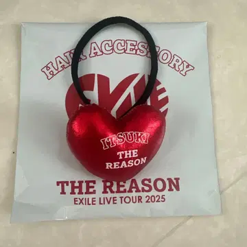 THE REASON 머리끈 후지와라 이츠키