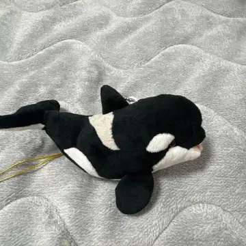 나고야 수족관 사육사 감수 봉제 인형 범고래