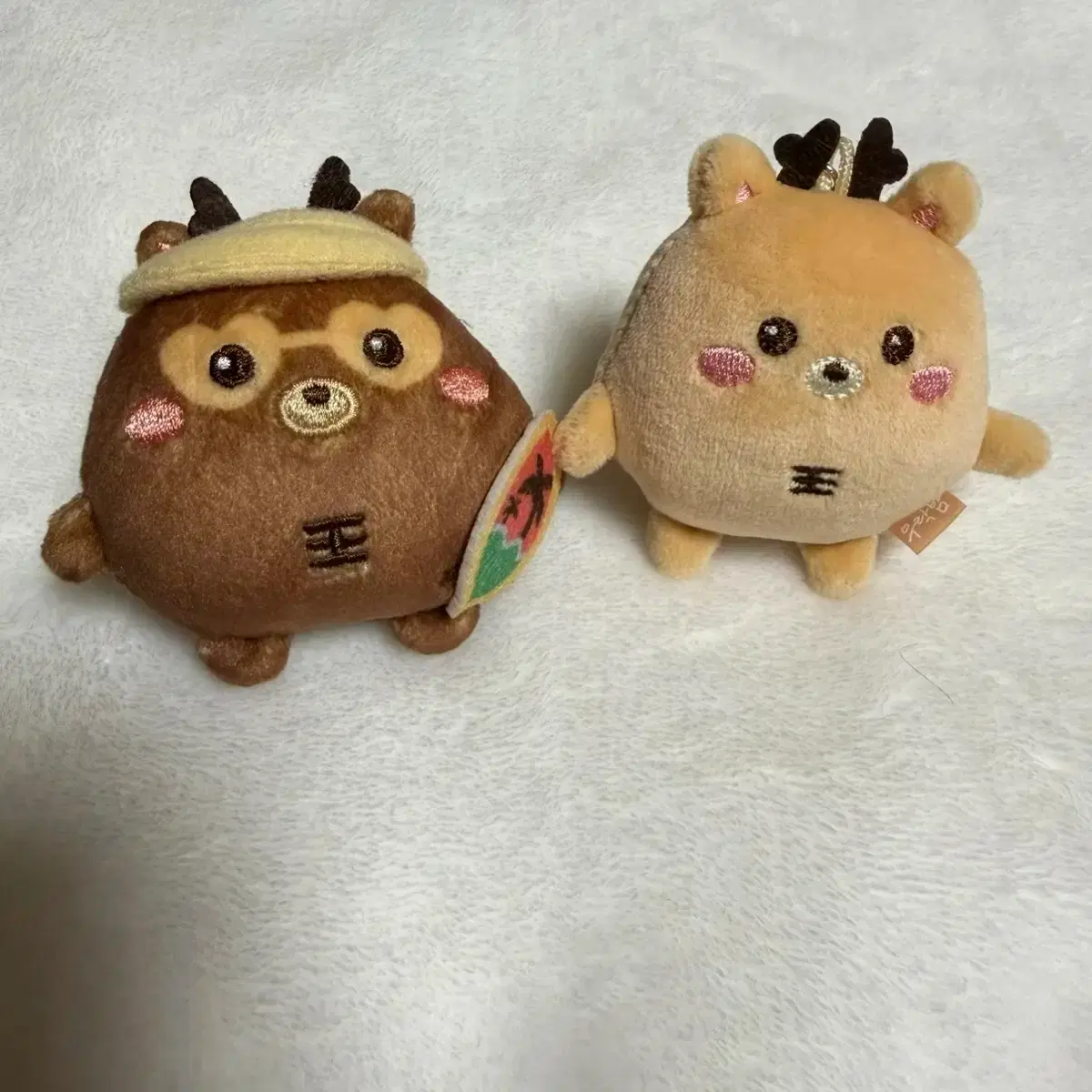 アウトレット RIIZE アントン 40cm 멍竜 RIIZE | 라이즈 Riize Anton