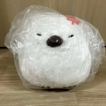 후쿠후쿠 시마에나 가을 컬러의 날씨 울트라 BIG 오시마 퍼플