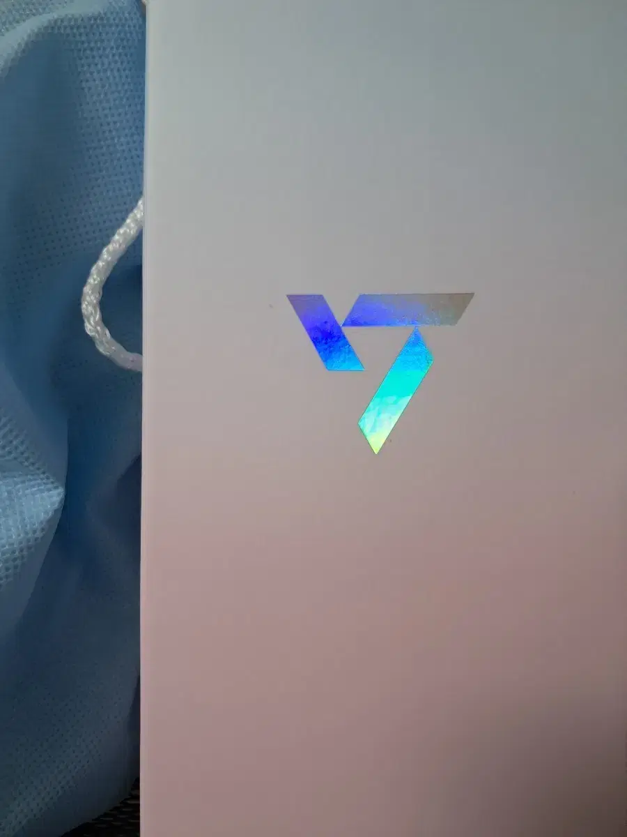 Seventeen 10th Anniversary Lightstick