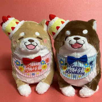 충견 모치시바 앙꼬 키나코 벌스데이 BIG 봉제 인형 ( 2종 세트 )