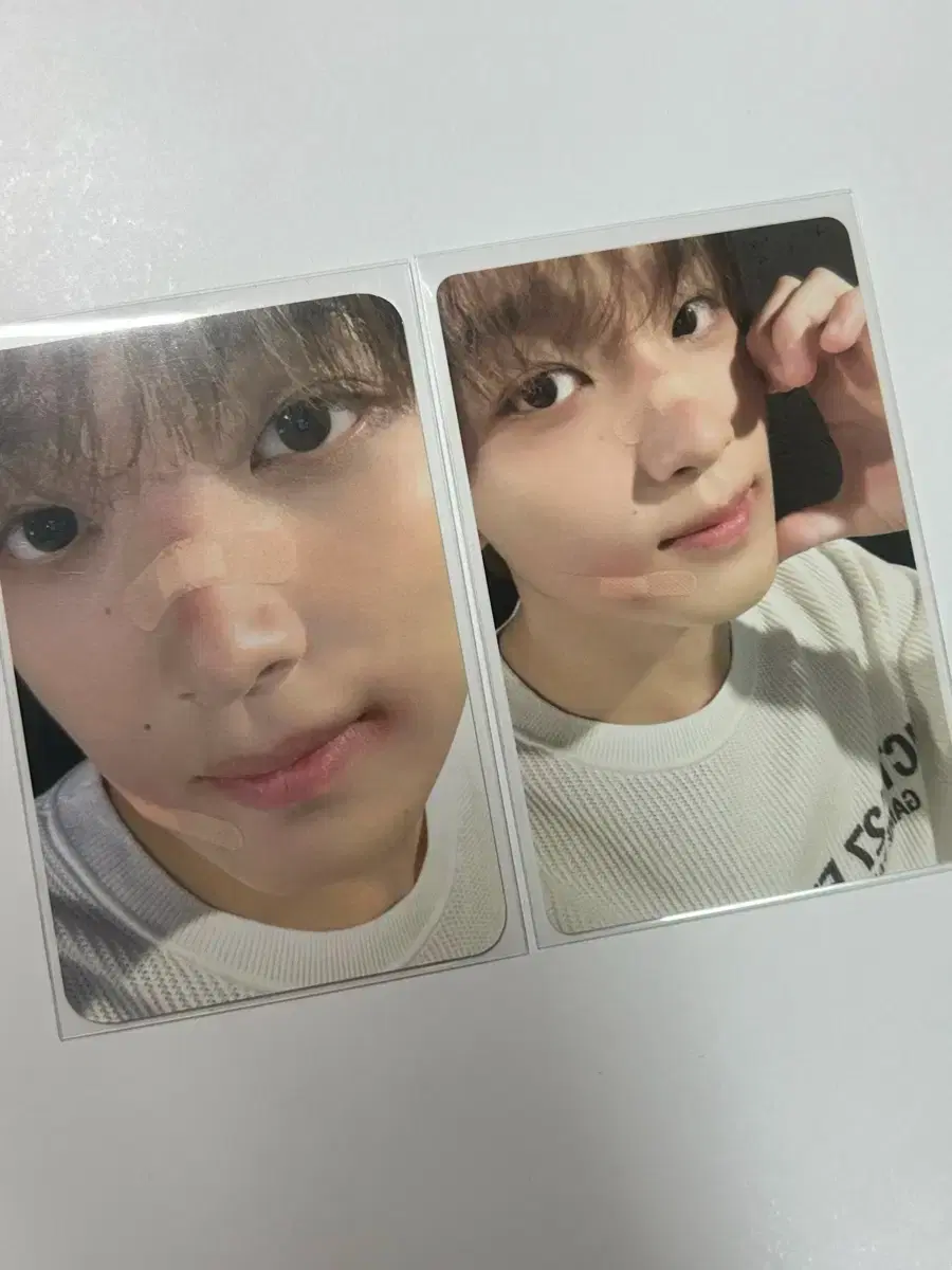 haechan season's greetings poca