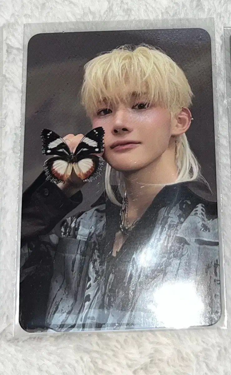 Goinbl Goinblind &team Jo Poca