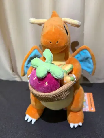 포켓몬 센터 망나뇽 봉제 인형