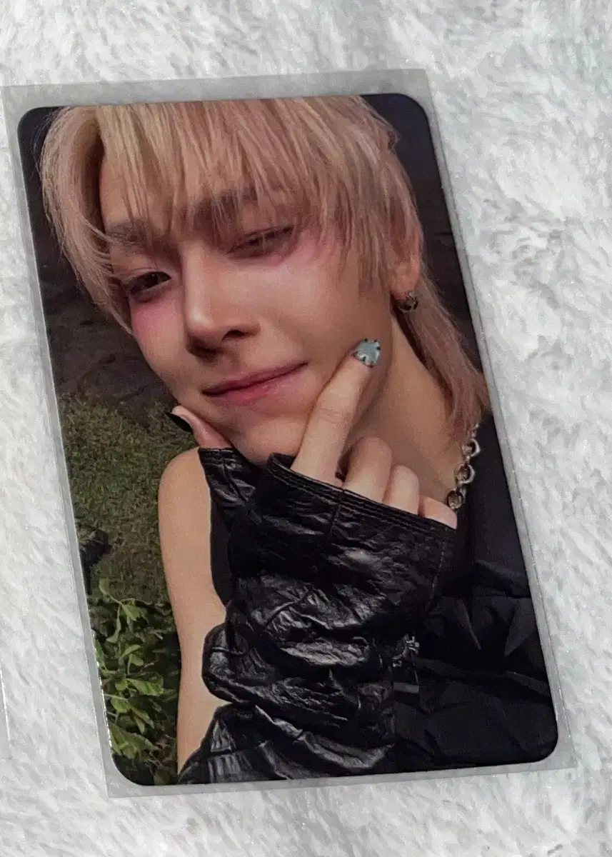 &team roar nicole poca