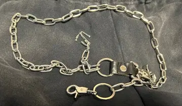 schism inducing 지갑 체인