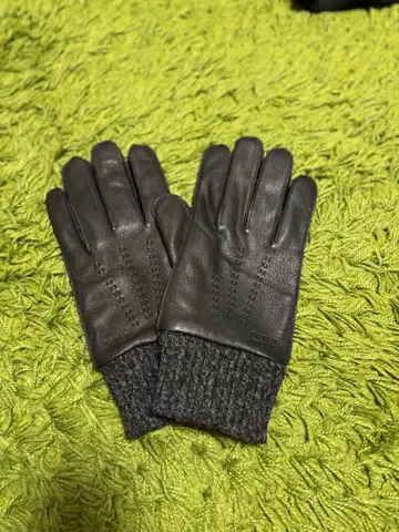 다케오 키쿠치 가죽 장갑