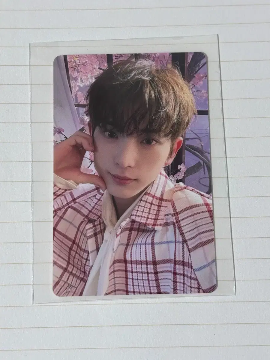 &team Samidare Harua