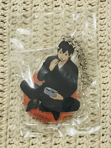 하이큐!! 닛스이 50명 한정판 카게야마 토비오 아크릴 스탠드 당선품