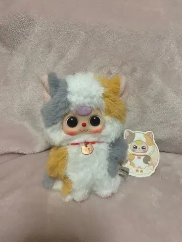 babythree 고양이 삼색 고양이 베이비 쓰리