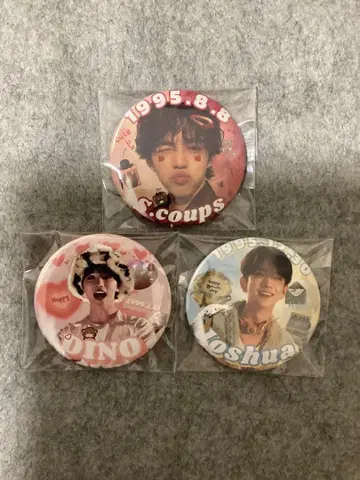 SEVENTEEN 핀 배지 3개 세트