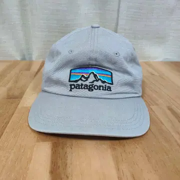 파타고니아 P-6 라벨 트레디셔널 캡 그레이 38207