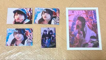 팬텀 시타 REFLEM 모나 세트