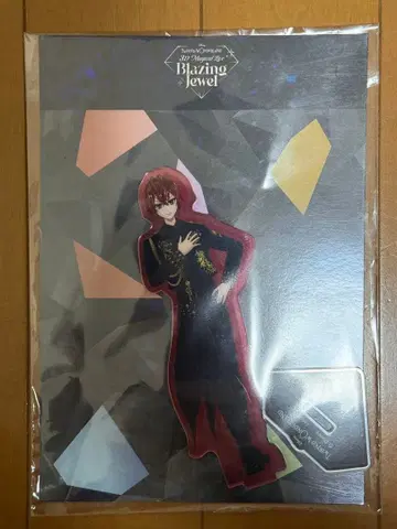 브레쥬 아크릴 스탠드 트위스테 리들