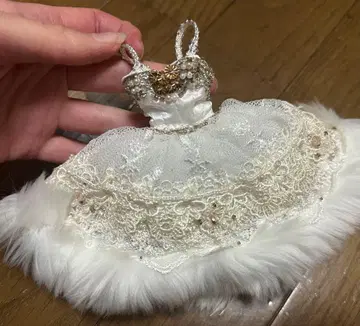 풀립 페일 노엘 드레스 & 슬리브만 Groove 그루브