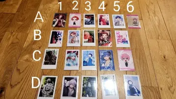 이레이스 폴라로이드