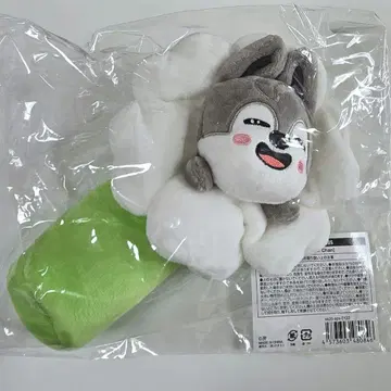 Stray Kids 스키즈 방찬 울프찬 필통