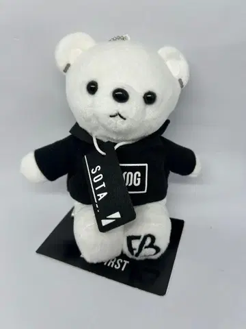 BFIRST 비퍼스트 소타 SOTA 곰 봉제 인형