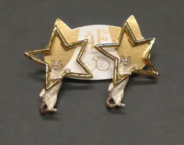 파르나토팍 스타 일루전 귀걸이