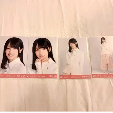 노기자카46 / 6기생 스페셜2 신참자 오오코시 히나노 4종 컴프