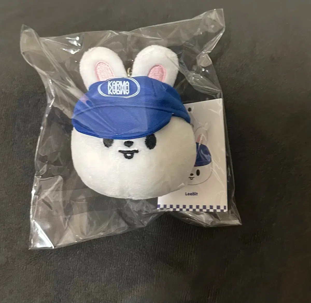 (Sealed below retail price) SKZOO Ribbit Ball Cap Plush keyring SKZOO Lee Know