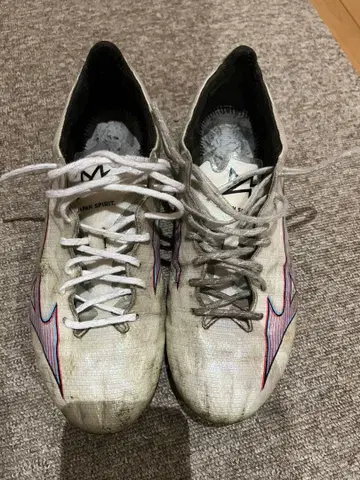 미즈노 알파 재팬 26.5