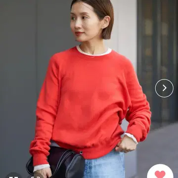 이에나 스이비스 풀오버