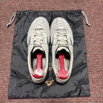 모렐리아 네오 4 재팬