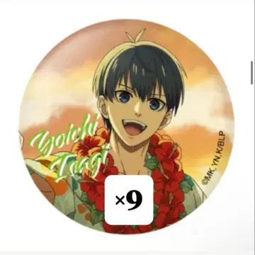 블루 록 and GALLERY 이사기 요이치 캔뱃지 9개 세트