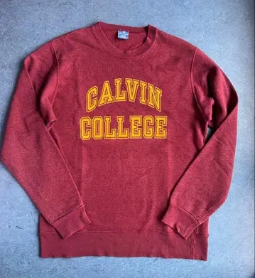 90s 챔피온 칼리지 맨투맨 파랑 택 USA