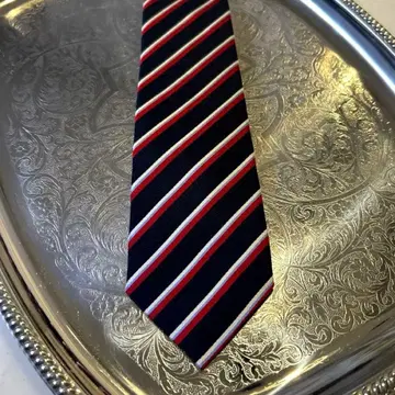 아쿠아 스큐텀 넥타이 네이비 네이비 라이트 블루 스카이블루 빨간색 실크