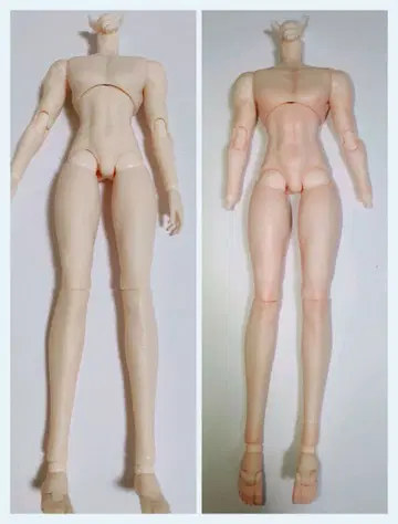 루치아 님 시칠리아의 추억 바디