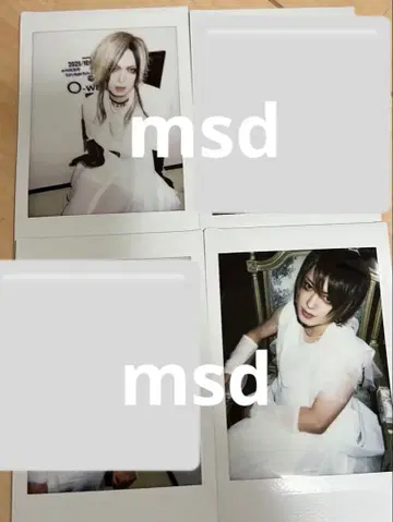 DIAURA 폴라로이드 세트