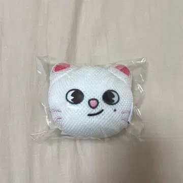 straykids 사우나 팝업 바디 스펀지 Jiniret 현진