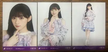 노기자카 생사진 5기생 special 카와사키 벚꽃 컴프