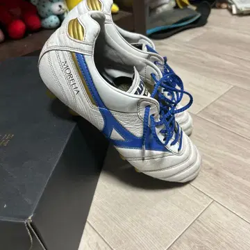 모렐리아 2 한정판 모델