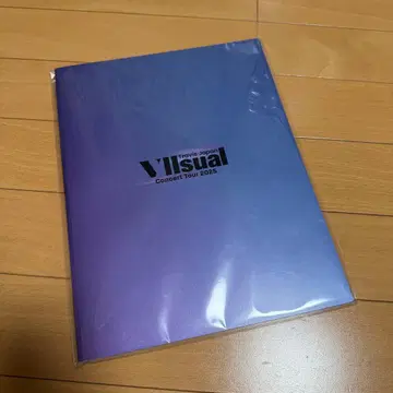 미개봉 새상품 ] Travis Japan VIIsual 팜플렛