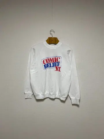 90s USA 굿 레귤러 래글런 맨투맨 프룻 오브 더 룸