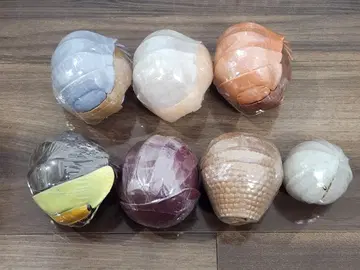 생물대도감 대왕구족충 단고충 미개봉 7개 세트