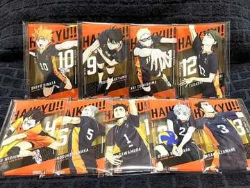 극장판 하이큐!! 쓰레기장의 결전 아트 패널 컬렉션/카라스노 고교 9점