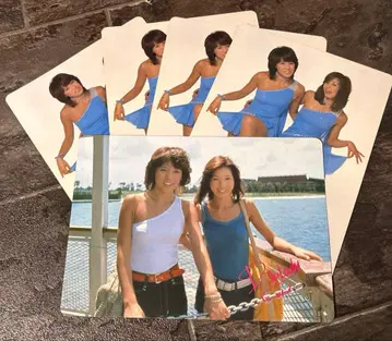 쇼와 레트로 책받침 5장 세트 핑크 레이디 샤와란