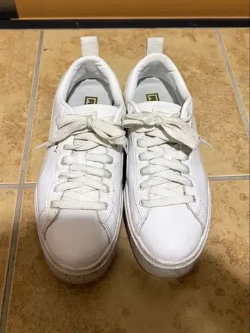 Puma 화이트 가죽 스니커즈