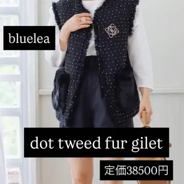 bluelea dot tweed fur gilet 블랙