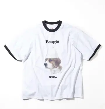 SAUVENIR/사우베니아 비글