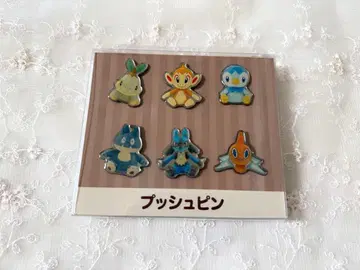 포켓몬스터 포켓몬핏 포켓몬 굿즈 푸시핀