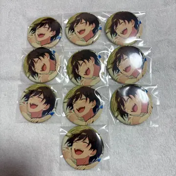 히이타카 호쿠토 캔뱃지 10점