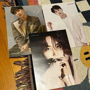 SEVENTEEN 정한 플라이어 타워 레코드 세븐틴