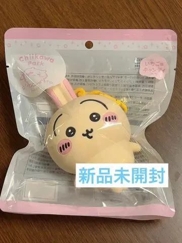 치이카와 파크 캔디 파우치 토끼