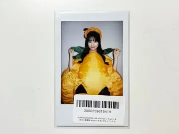 카와라보 메이츠 카토 요시미 런치 폴라로이드 호박 의상